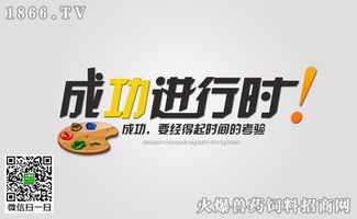 经销商成功营销的三个标准与落地实践