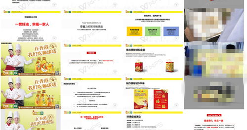 狮球唛品牌策划公司整合营销推广方案