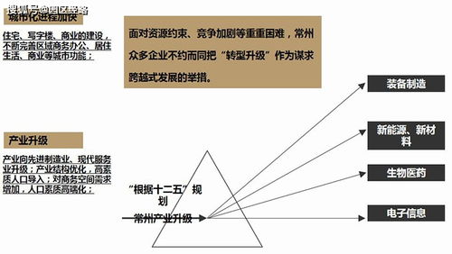 常州恒生科技园项目市场营销策划报告